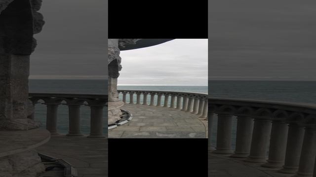VID_20241227_151652.mp4
