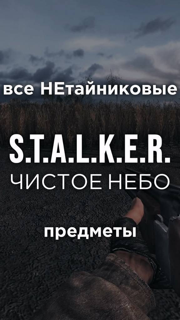 Все ПРЕДМЕТЫ в игре S.T.A.L.K.E.R.: ЧИСТОЕ НЕБО, Часть 8 • #shorts #stalker #clearsky #предметы