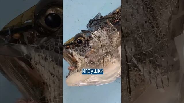 Мусорные картины ЛОМАЮТ МОЗГ, если зайти сбоку