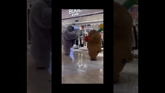 1000027695.mp4
