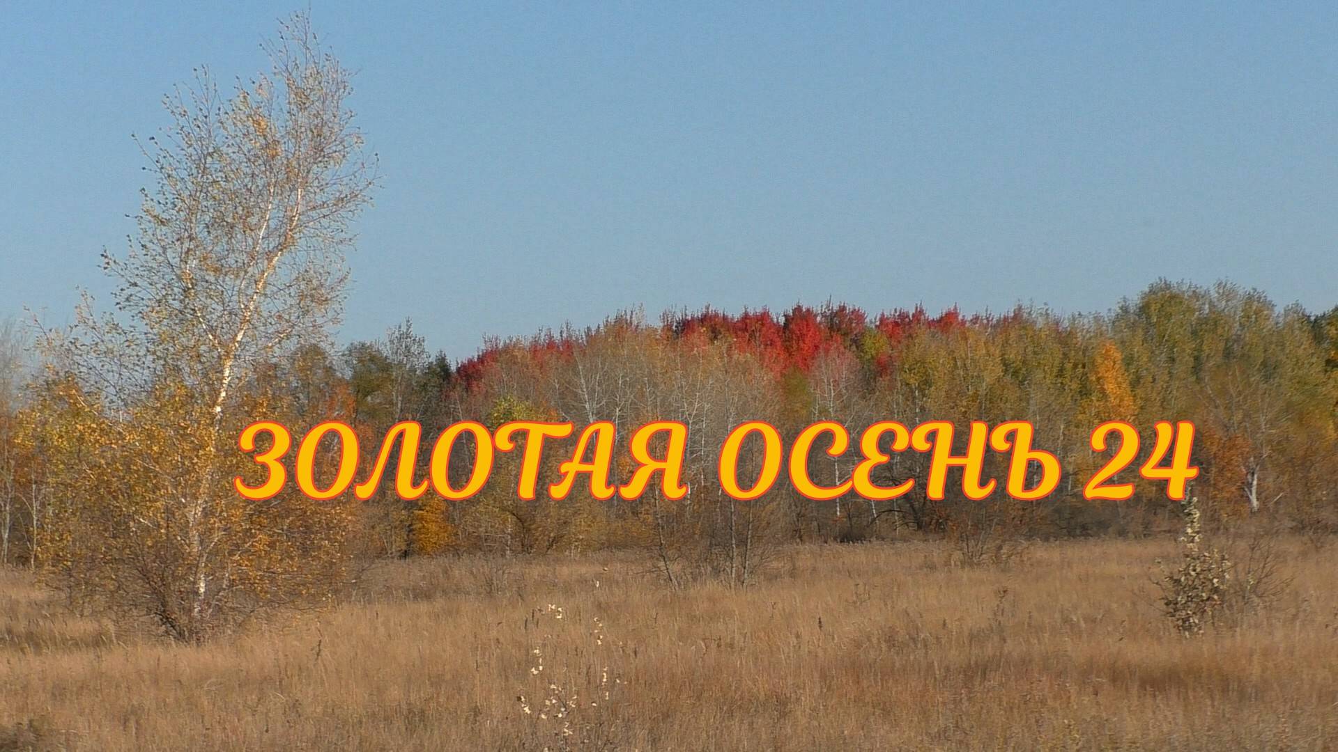 Золотая осень 24