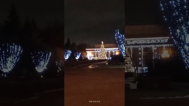 Пушкин предновогодний
