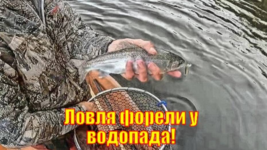 Ловля форели у водопада!