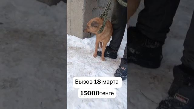 рубрика 
знакомьтесь