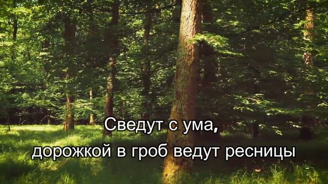 Охота на лисицу (караоке)