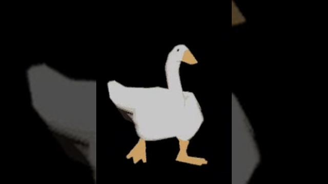 1000021696.mp4