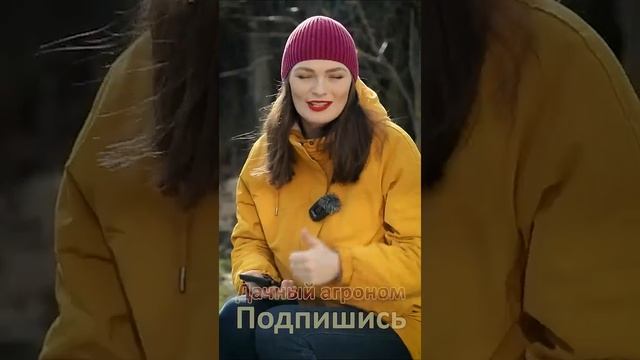 7 идей для современной дачи