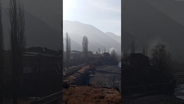 scene_output.mp4