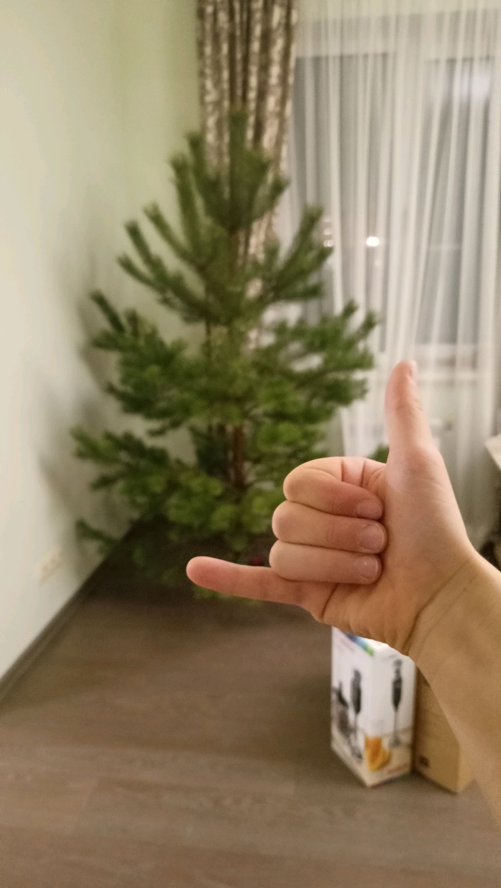 МЫ ПРИЕХАЛИ 🎄🥳🤩