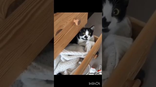 Как провести новогодние каникулы?