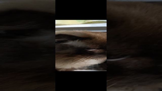 1000000539.mp4