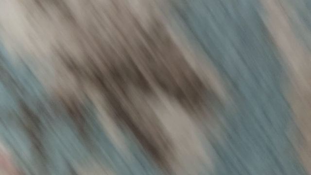 228