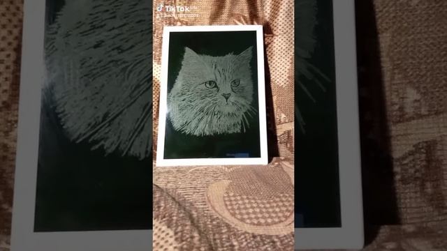 1000009879.mp4