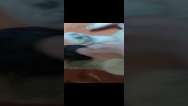 1000006379.mp4