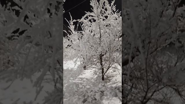 Зимнее настроение.