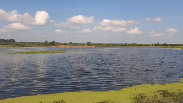 Летнее наводнение в Зауралье. Шершни сбросили лишнюю воду.