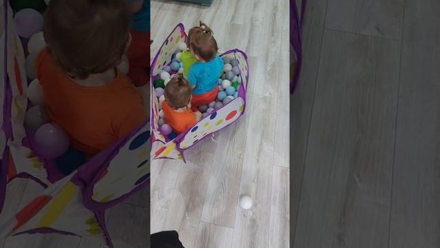 Четверняшки, кот помогай!