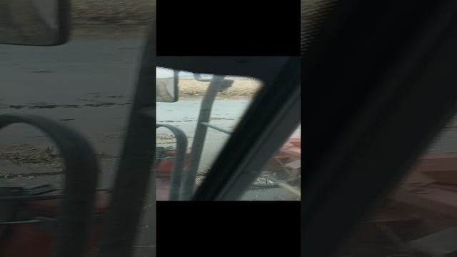 1000015422.mp4