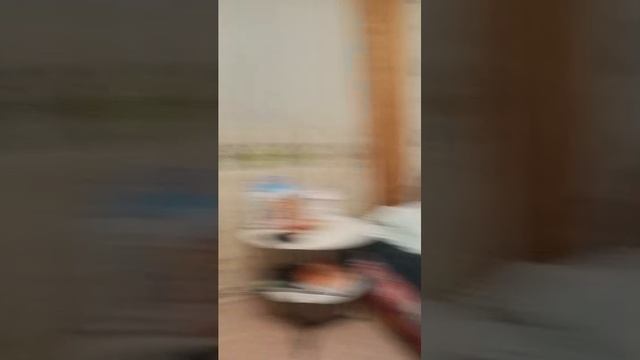 моя комната