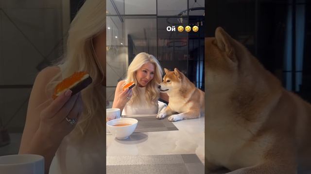 МАМА И ЛЮБИМЕЦ СЕМЬИ БАРНЮША 
#vip #москва #юлияжирова #юлияжировалегенда #барнисиба