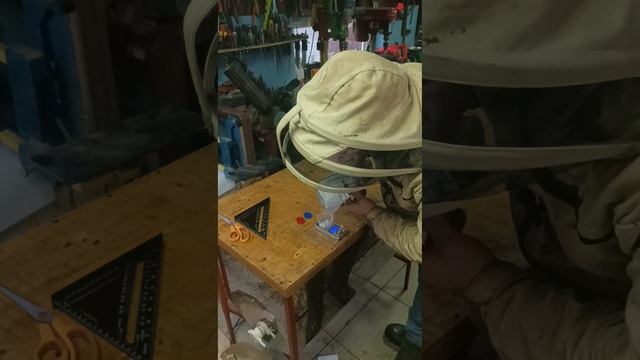 Предупредительный выстрел в голову!  Главная обработка от клеща варроа.