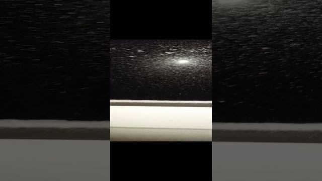 1000011681.mp4