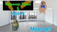 Кошмар Тоши 5, Музыка