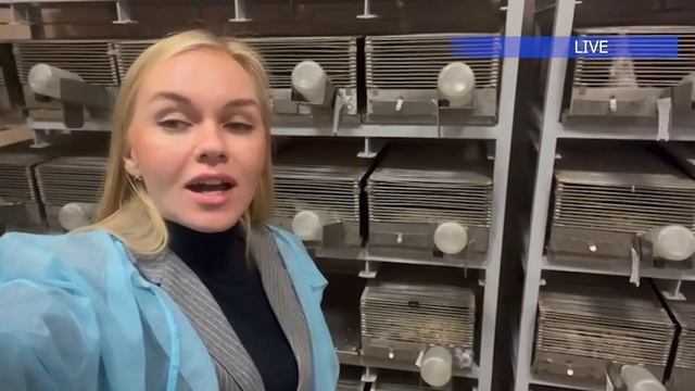 Шагни в науку: ИЦиГ СО РАН_генетика поведения.mp4