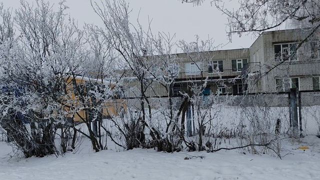 зима в деревне, мороз с утра, красивая деревенская зима, деревья в снегу