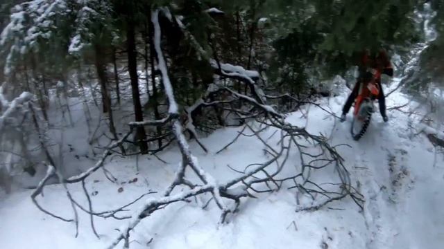 Предновогодняя покатуха 28.12.24.