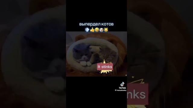 Смех да и только