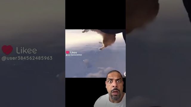 Like_7442660566872632491.mp4