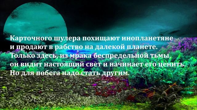 Буктрейлер МК314-2