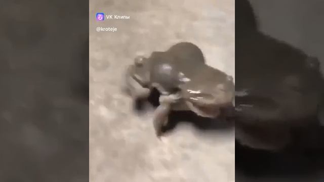1000001384.mp4