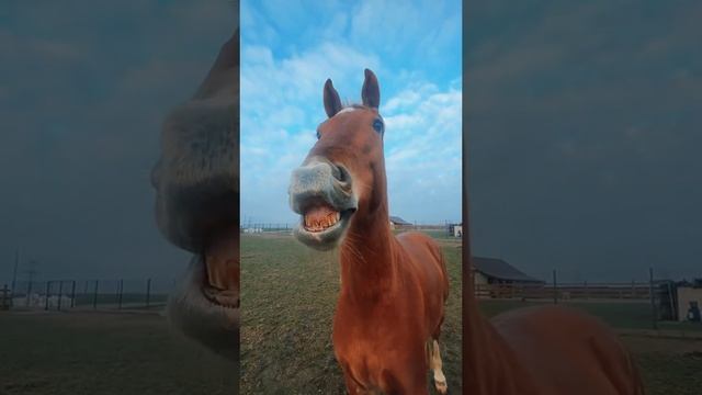 Что это у вас на носу