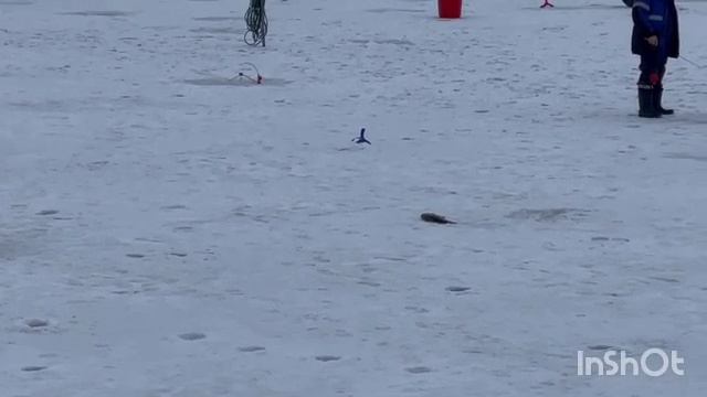 1000040873.mp4