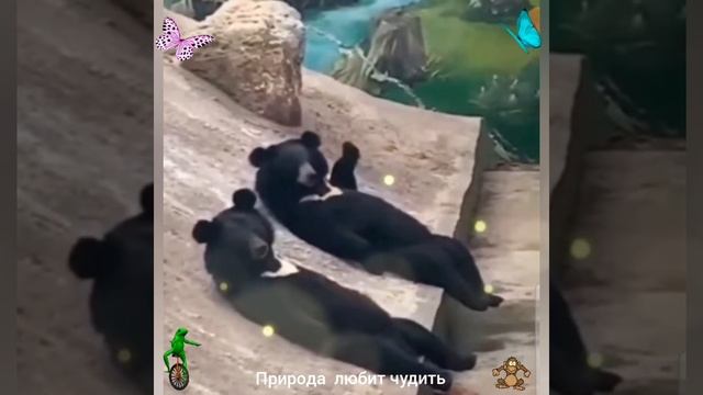 У НАШЕГО СОЗДАТЕЛЯ ХОРОШЕЕ ЧУВСТВО .. ЮМОРА