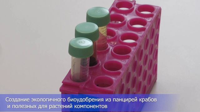 Шагни в науку: НГТУ НЭТИ_биоинженерия.mp4