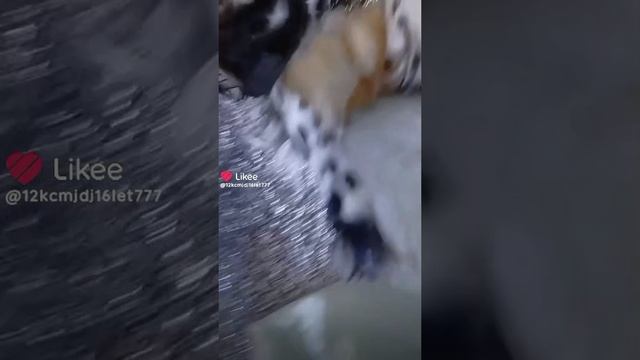 1000006622.mp4