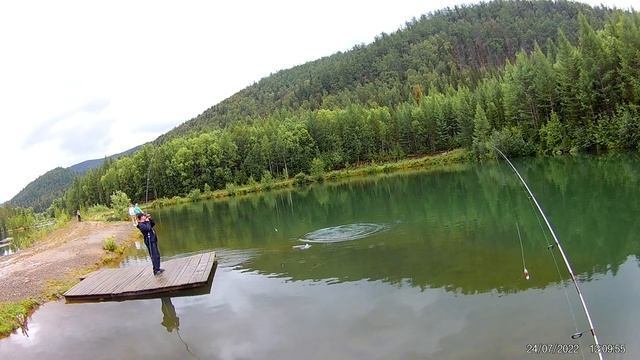 Flagman Areata 1,68m 0,3g-2,5g против форели на платнике.