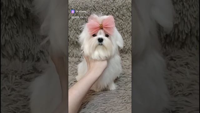 1000190539.mp4
