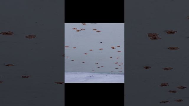 1000014985.mp4