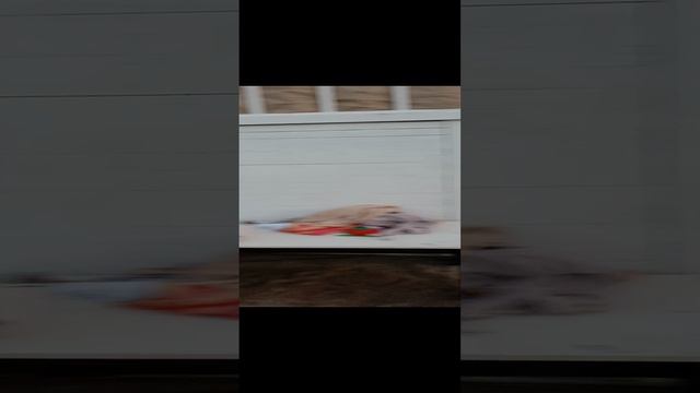 белек турция