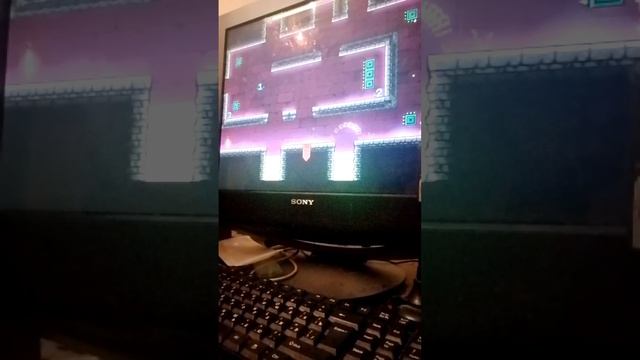 dash 100% all coins