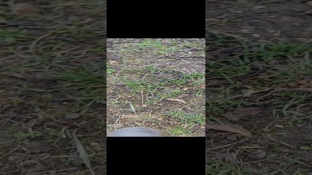 1000000432.mp4