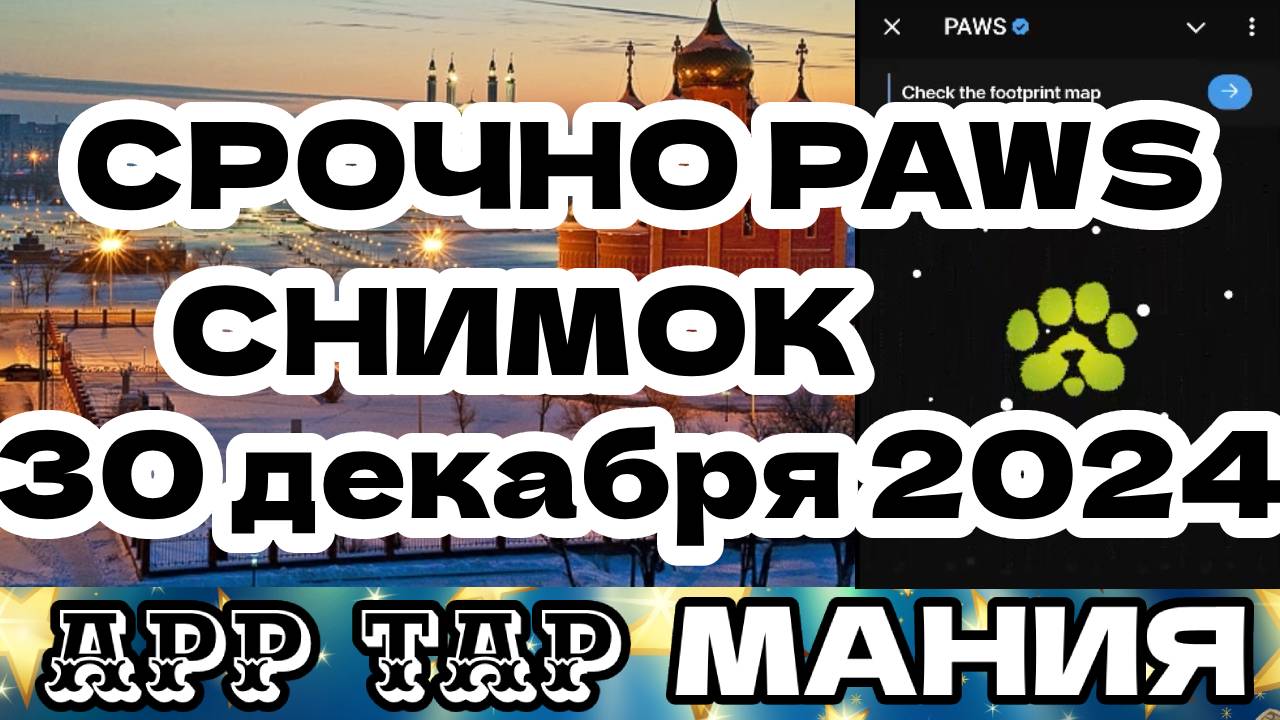 срочно paws снимок 30 декабря 2024
