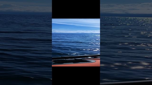 лодка Solar 380 tohatsu 15