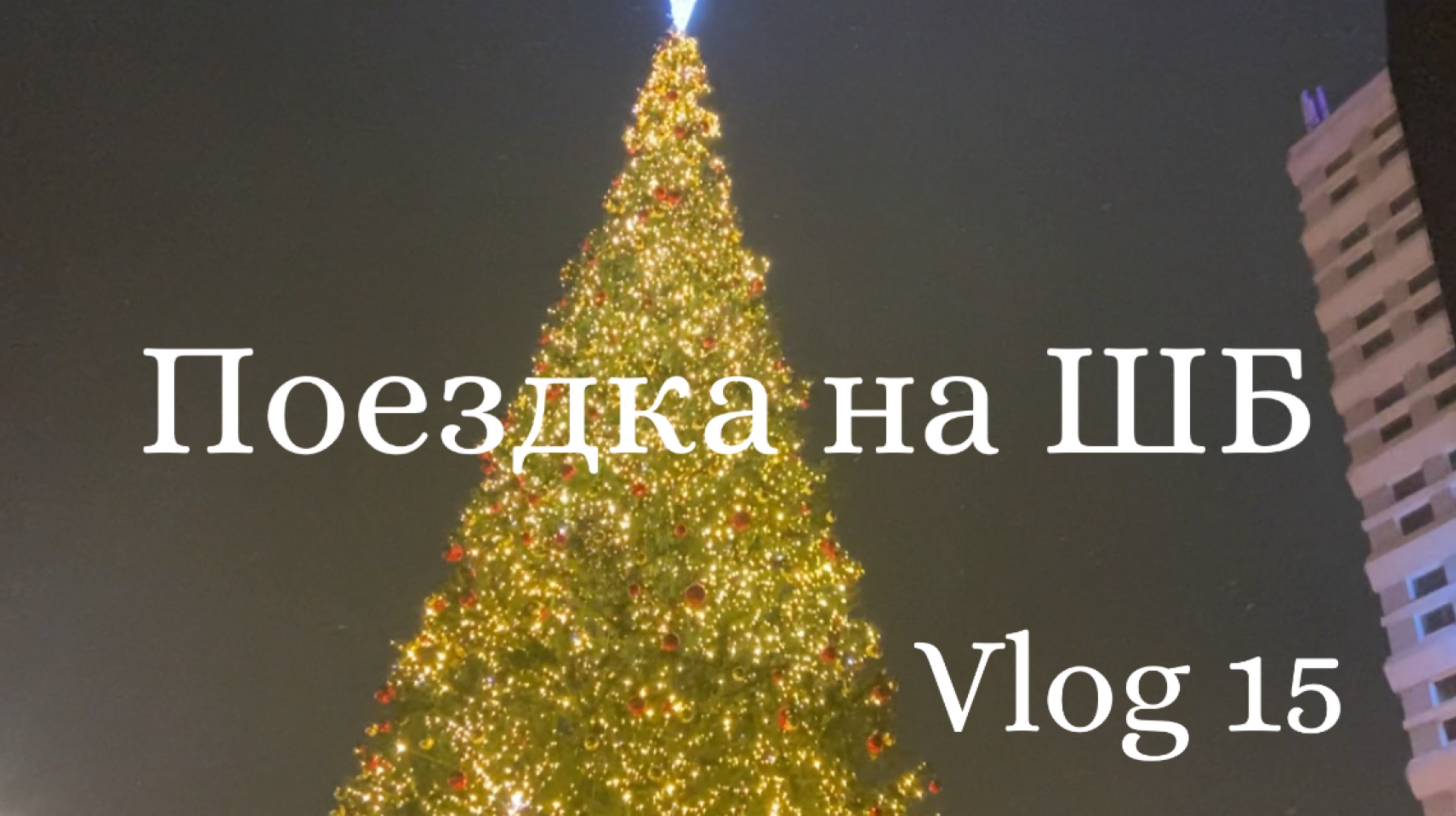 Vlog 15/ много подарков 🎁поездка на ШБ 22 декабря