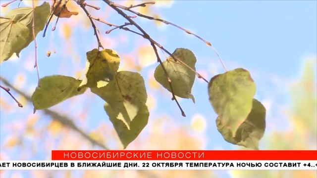 Новые дизайнерские скамейки и урны установили в Центральном парке
