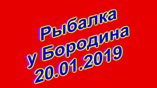 Рыбалка у Бородина 20.01.2019